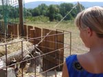 Bild vergr�ssern