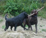 Manuela mit Jacky
