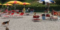 Italien - Urlaub mit dem Hund am Gardasee